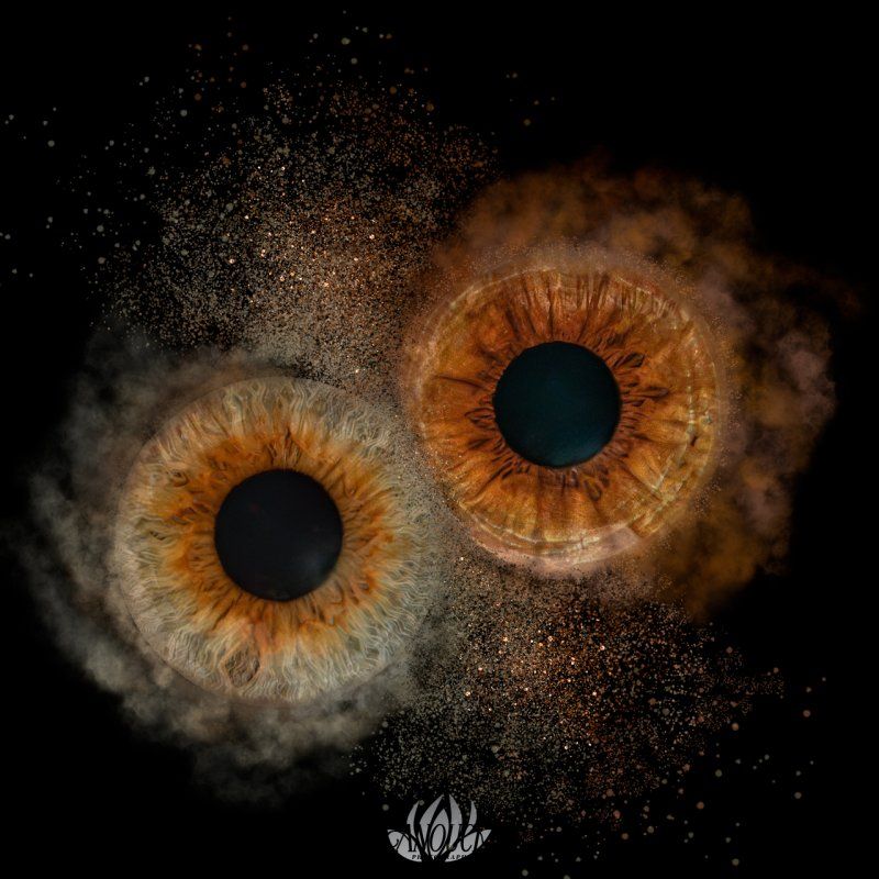 Photographie artistique aquatique dans le lac de Neuchâtel pour le festival de la photographie à St-Cergue en Suisse