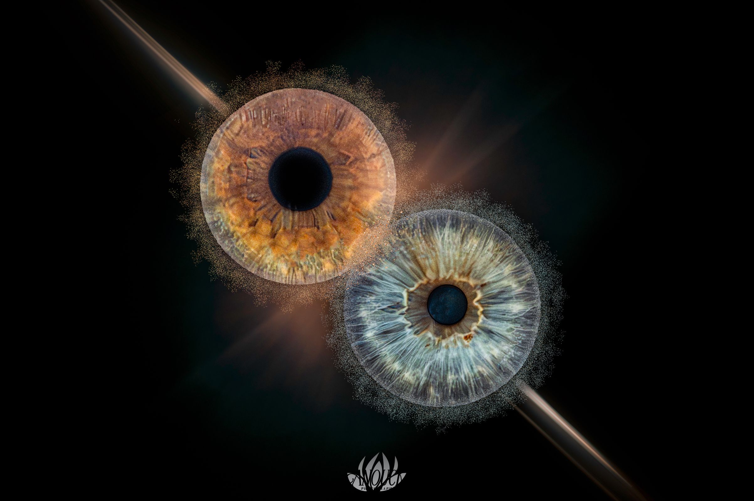 Photographie d’iris en macro avec rendu artistique