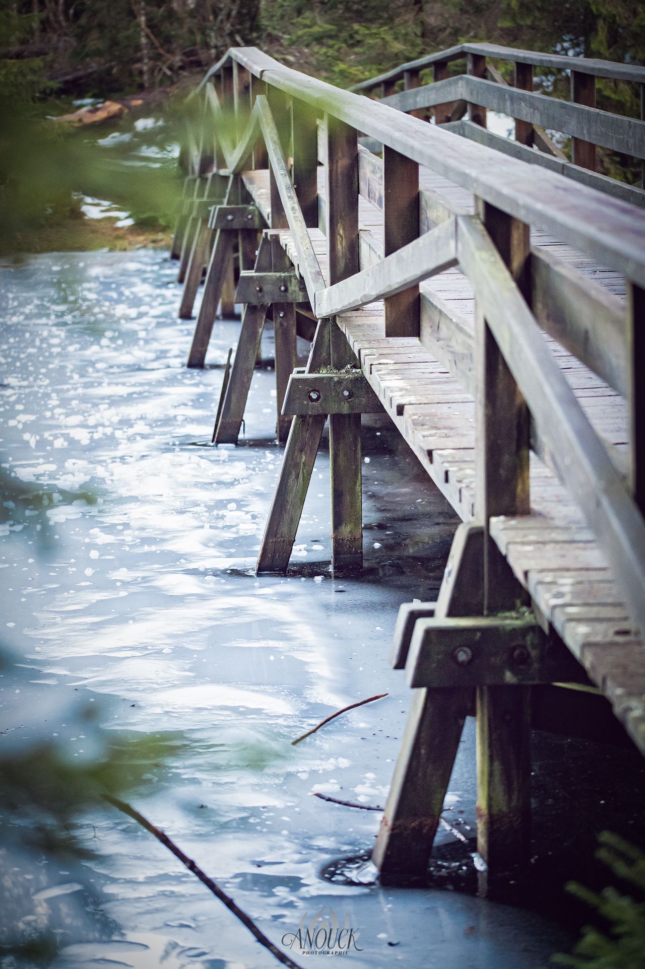 Photographie de l'étang de Gruère dans le Jura Bernois