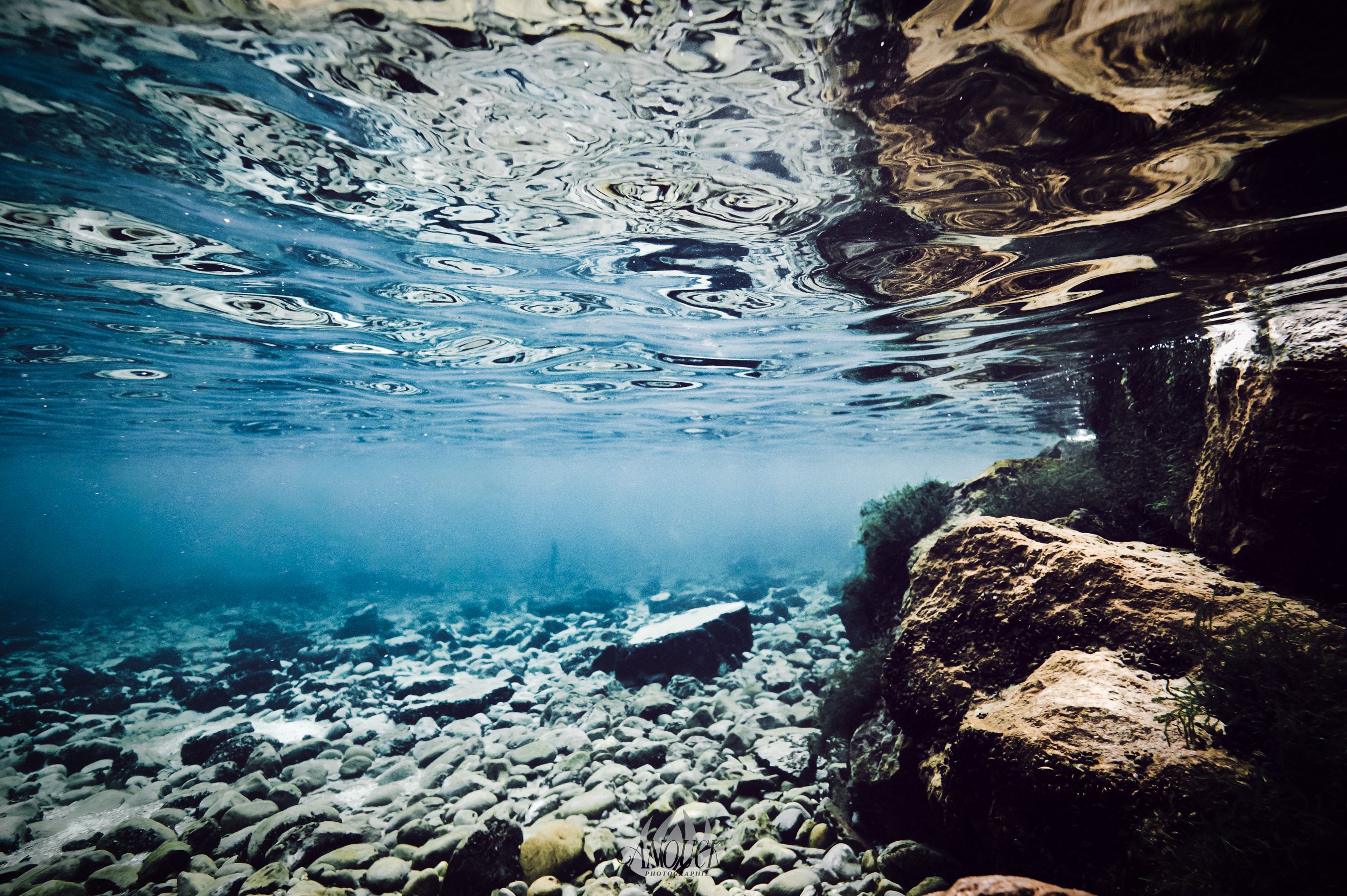 Photographie artistique aquatique du lac de Neuchâtel